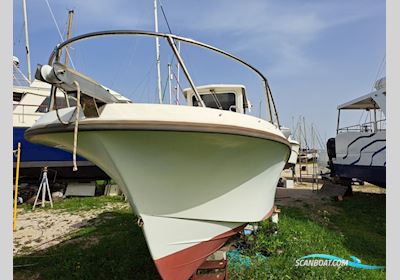 Good Go TF 240 Motorboot 1999, mit Volvo Penta motor, Portugal