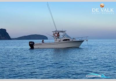 Grady-White Sailfish 282 Motorboot 2007, mit Suzuki motor, Spanien