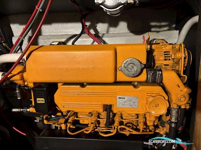 Grommer  800 De Luxe Motorboot 2005, mit Vetus Diesel motor, Niederlande