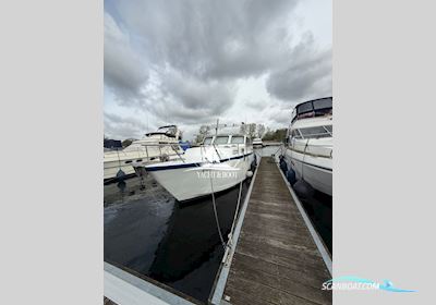 Holländischer Werftbau Catharina 1350 Motorboot 1989, mit Man motor, Niederlande