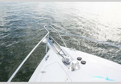 Hylas M49 Motorboot 2026, mit Yanmar motor, USA