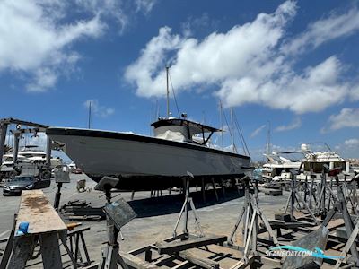 LUJA 2003 Motorboot 2003, Niederlande