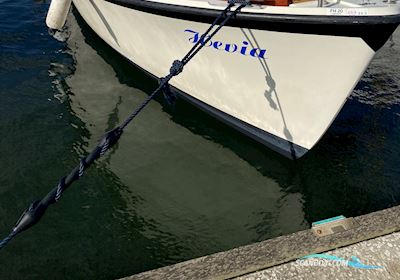 Luna 26 Motorboot 1974, mit Volvo Penta 2002 motor, Dänemark