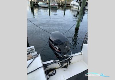 Marion 500 Motorboot , mit Mercury motor, Dänemark