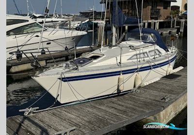 Moody 27 Motorboot 1982, mit Beta motor, England