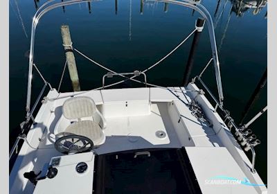 Nexus 850 Motorboot 2014, mit Mercury motor, Dänemark