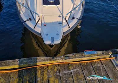 Nimbus 2600 Motorboot 1987, mit Volvo Penta Tamd31P motor, Dänemark