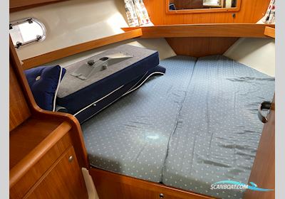 Nimbus 310 Coupe Motorboot 1999, mit Yanmar motor, Dänemark