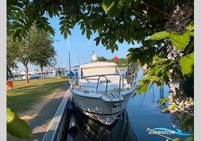 Nimbus 365 Coupe Motorboot 2016, mit Volvo Penta motor, Deutschland