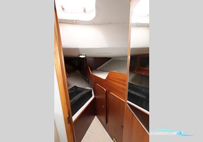 Pettersson Cleopetra 34 Fly Motorboot 1990, mit Volvo Penta motor, Sweden
