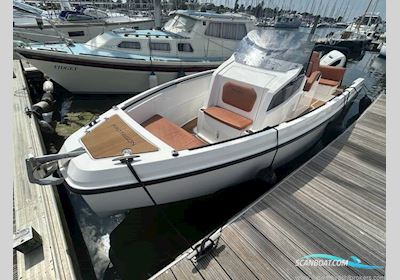 Protagon 25 Space Motorboot 2023, mit Honda BF250 motor, England