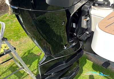 Quicksilver 705 Weekend Motorboot 2024, mit Mercury 4 Stroke motor, Dänemark