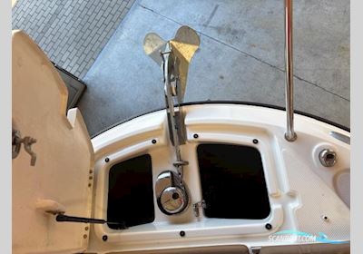 Quicksilver 755 Activ Weekend Motorboot 2020, mit Mercury F200XL motor, Deutschland