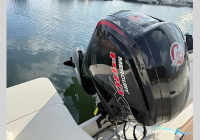 Quicksilver Activ 555 Open med Mercury 115 ProXS (2021) Motorboot 2021, mit Mercury ProXS motor, Dänemark