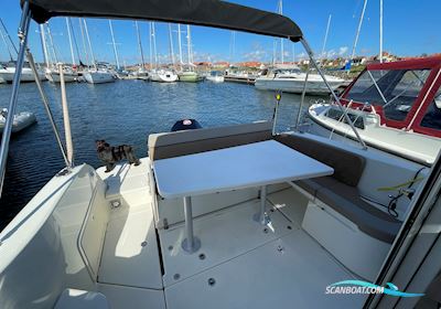 Quicksilver Activ 755 Weekend Motorboot 2020, mit Mercury Pro XS 200 motor, Dänemark