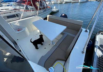 Quicksilver Activ 755 Weekend Motorboot 2020, mit Mercury Pro XS 200 motor, Dänemark