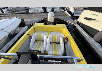 REBEL 24 S Motorboot 2004, mit Evinrude  motor, Sweden