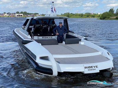 Ribbon  45SC Motorboot 2012, mit Cummins motor, Niederlande