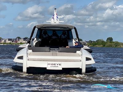 Ribbon  45SC Motorboot 2012, mit Cummins motor, Niederlande