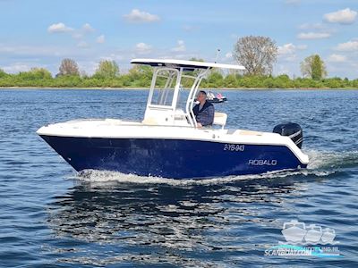 Robalo Center Console R222 Motorboot 2016, mit mercury motor, Niederlande
