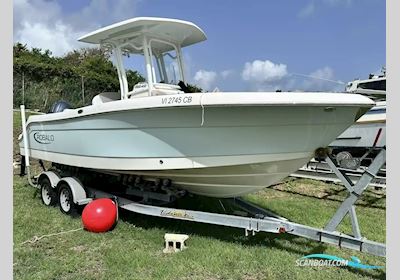 Robalo R242 Motorboot 2020, mit Yamaha motor, USA