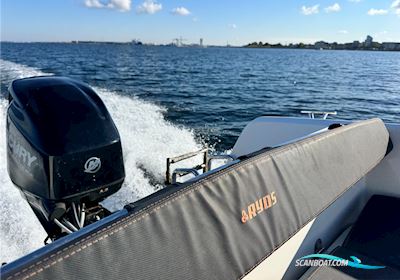 Ryds 448 Sport  Motorboot 2018, mit Mercury motor, Sweden