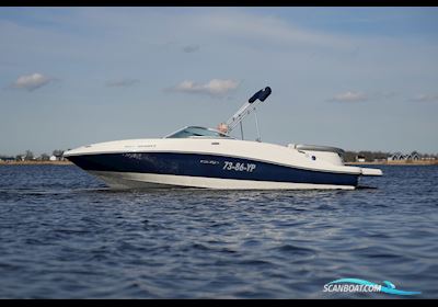 Sea Ray 185 Sport Motorboot 2009, mit Mercruiser motor, Niederlande