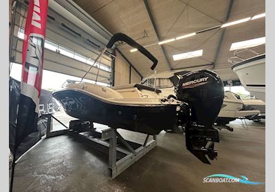 Sea Ray 190 SPX OB Motorboot 2023, mit Mercury motor, Dänemark