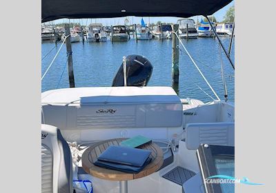 Sea Ray 190 SPX Motorboot 2022, mit Mercury EFI 4-takt motor, Dänemark