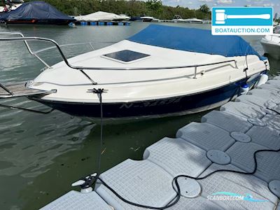 Sea Ray 200 Signature Motorboot 1996, mit Mercury motor, Italien