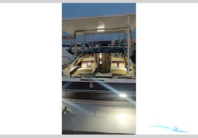 Sea Ray 210 Motorboot 1989, mit Mercruiser motor, Spanien