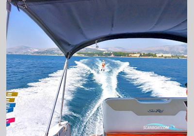 Sea Ray 255 Sundancer Motorboot 2011, mit Mercnruiser V8 Benzin 350 Mag motor, Deutschland