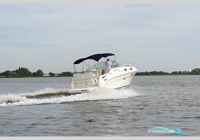 Sea Ray 255 Sundancer Motorboot 2008, Niederlande