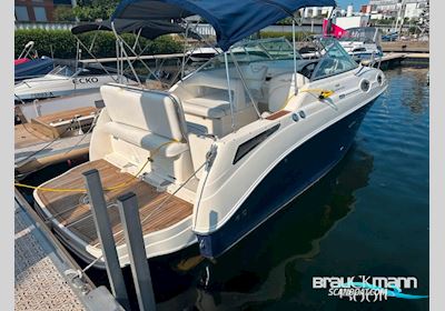 Sea Ray 2550Sundancer Motorboot 2010, mit Mercruiser motor, Deutschland