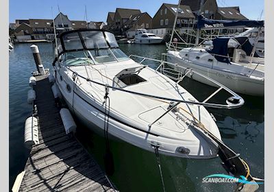 Sea Ray 260 Sundancer Motorboot 2001, mit Yanmar motor, England