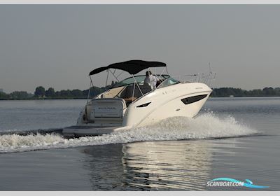 Sea Ray 265 Motorboot 2022, Niederlande