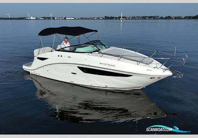 Sea Ray 265 Motorboot 2022, Niederlande