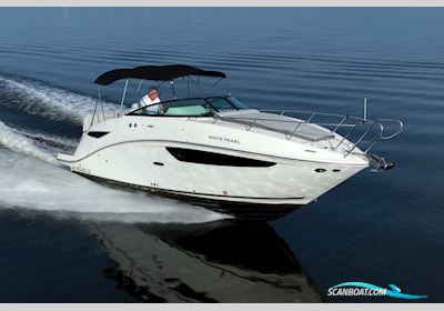 Sea Ray 265 Motorboot 2022, Niederlande