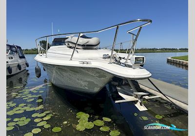 Sea Ray 500 Motorboot 1991, Niederlande