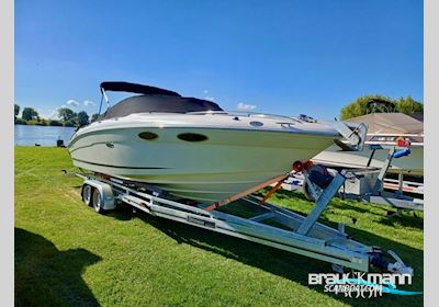 Sea Ray Modell Motorboot 2008, mit Mercruiser motor, Deutschland