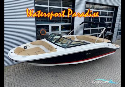 Sea Ray SPX 210 Outboard Motorboot , Niederlande