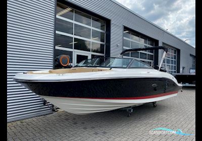 Sea Ray SPX 210 Outboard Motorboot , Niederlande
