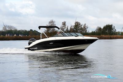 Sea Ray Spx 210 Outboard Motorboot 2021, Niederlande