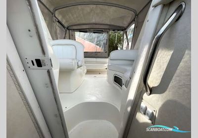 Sea Ray Sundancer 290 Motorboot 1999, mit Mercruiser motor, Irland