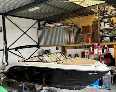 Sea Ray Sunsport Motorboot 2018, mit  Mercruiser motor, Niederlande