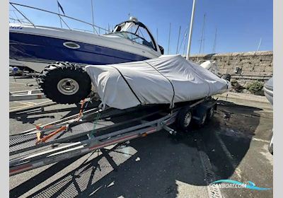 Sealegs 6.1 Motorboot 2006, mit Evinrude motor, Irland