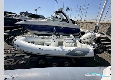 Sealegs 6.1 Motorboot 2006, mit Evinrude motor, Irland