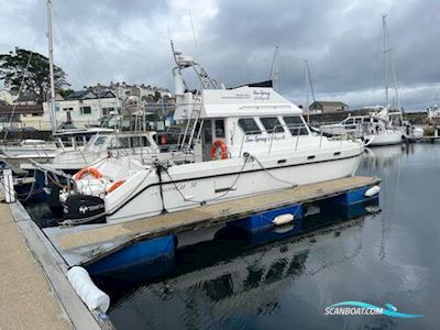 Stormcat 950 Motorboot 2006, mit Tohatsu motor, Irland