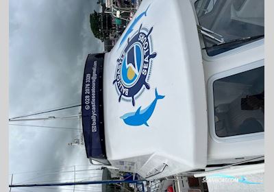 Stormcat 950 Motorboot 2006, mit Tohatsu motor, Irland