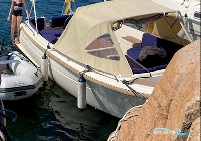 Tender Queen 23 Motorboot 2019, mit Hyundai Seasall D170 motor, Sweden